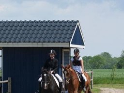 img-99611-612